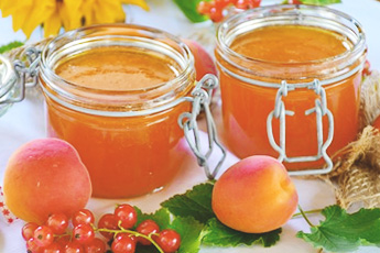 Абрикос обыкновенный - aptechka.org