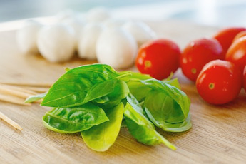 Базилик обыкновенный - aptechka.org