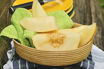 Дыня обыкновенная, или столовая - aptechka.org