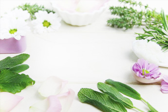 Фитосборы для лечения нарушений сна - ранних пробуждений - aptechka.org