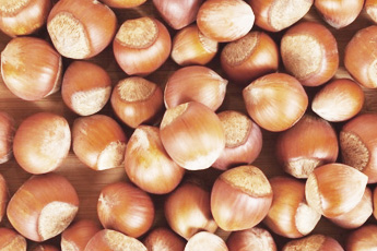 Лещина обыкновенная, или орех лесной - aptechka.org