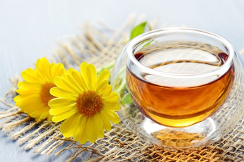 Календула лекарственная, или ноготки - aptechka.org