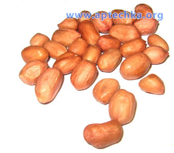 Арахис подземный, или земляной орех - aptechka.org