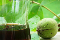 Растения - красители для волос